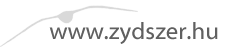 ZYD-Szer GmbH Logo