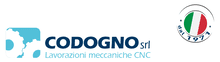 CODOGNO SRL Logo