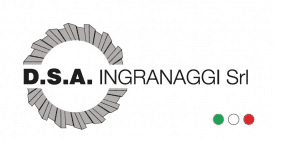 D.S.A. INGRANAGGI SRL Logo