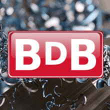 BDB Srl. Logo