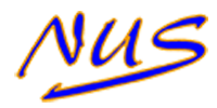 NUS D.O.O. Logo