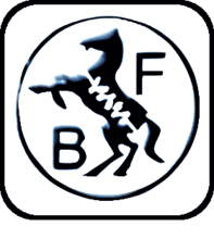 Baldim Federn OOD Logo