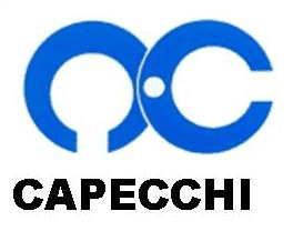 Capecchi srl Logo